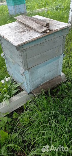 Сушь рамки для пчелиных ульев. Ульи. Кубы