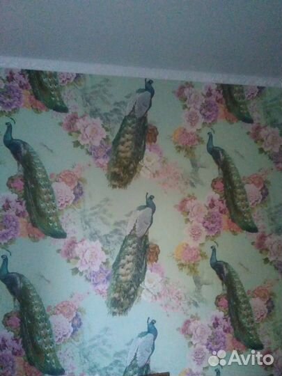 Ремонт квартир. Штукатурка любой сложности, шпатлё