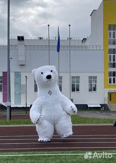 Большой белый медведь