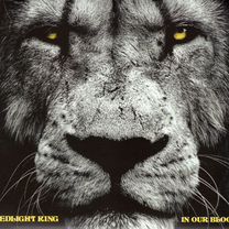 Redlight King / In Our Blood (RU)(CD)