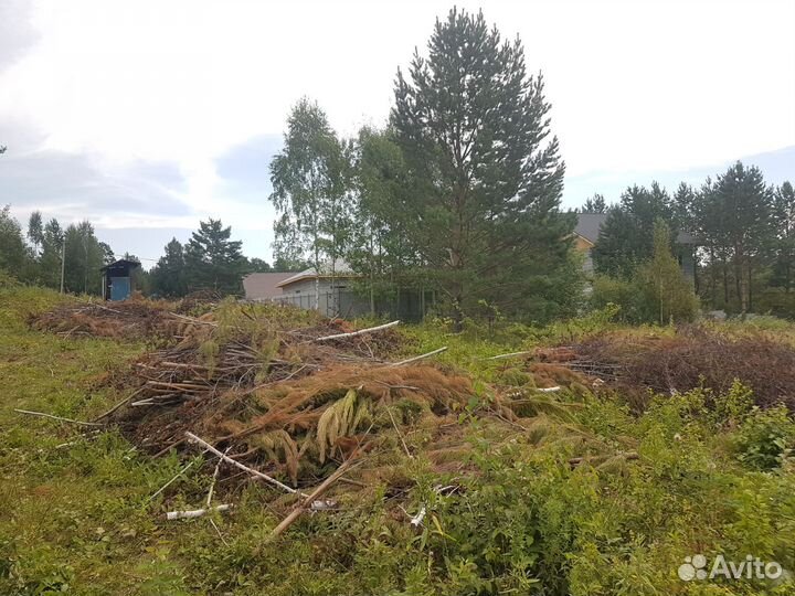 Услуги щепореза