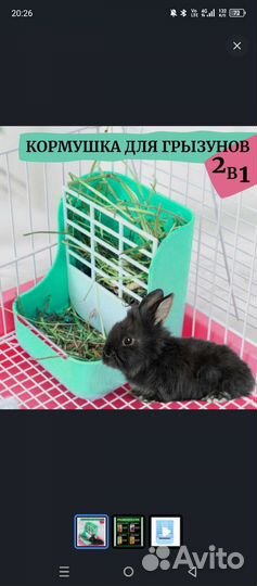 Клетка для декоративного кролика