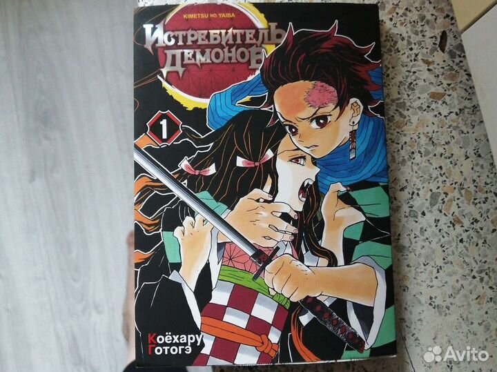 Книга Истребитель демонов