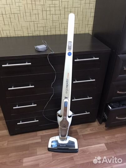 Пылесос Electrolux Li-30 ErgoRapido ERG105