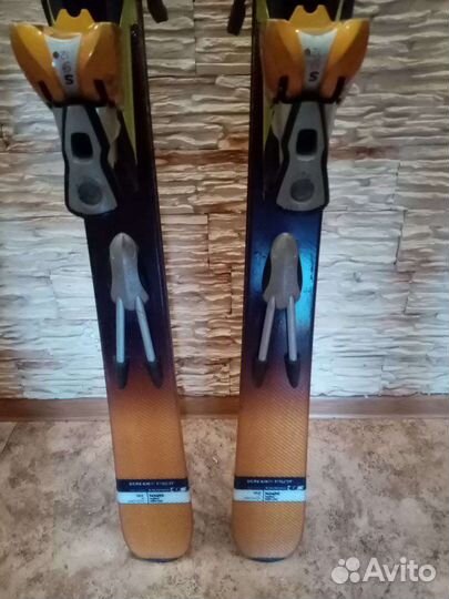 Горные лыжи