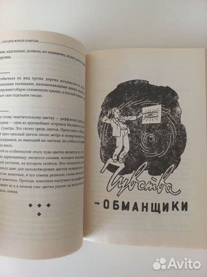 Книга 5 минут на размышление