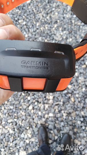 Навигатор Garmin Astro 320 Европа с ошейником Т5