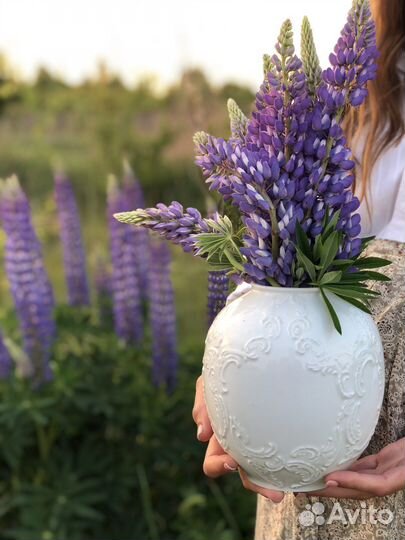 Ваза Кайзер