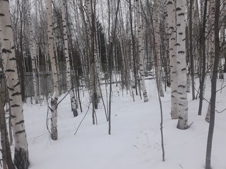 Участок 11,2 сот. (ИЖС)