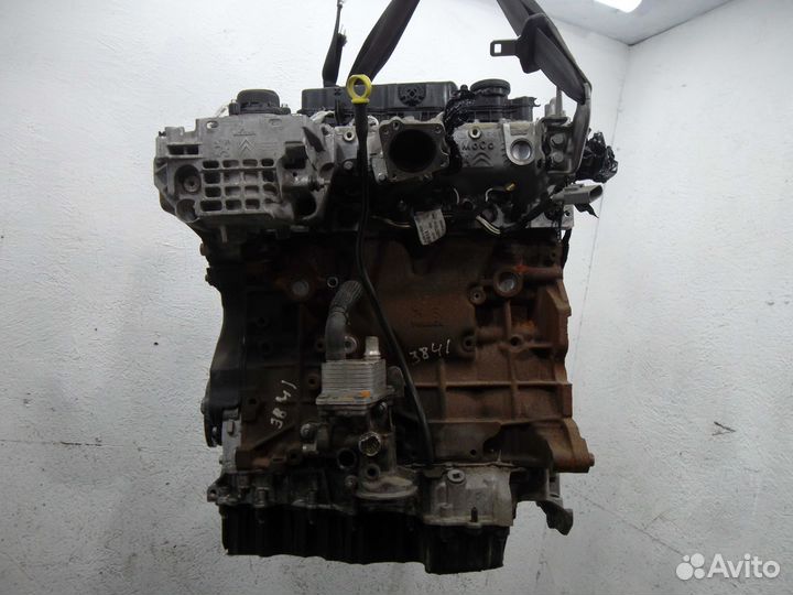 Двигатель Ford Kuga T8MA 2 литра дизель