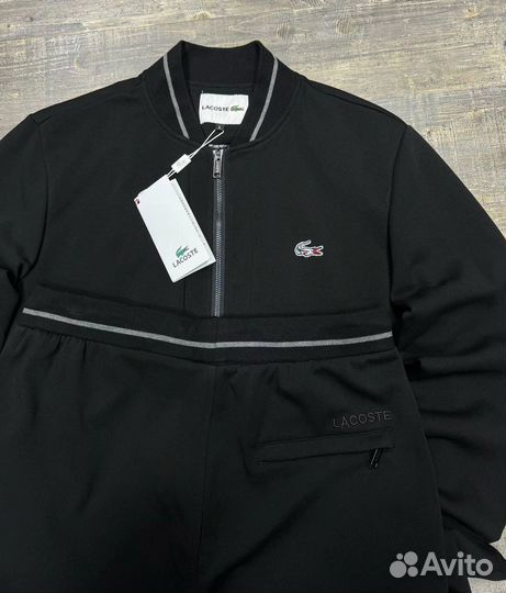 Спортивный костюм мужской Lacoste