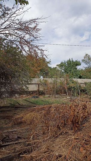 Дом 59,5 м² на участке 6 сот.