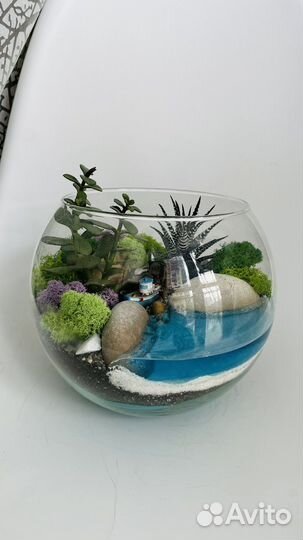 Флорариум с суккулентами и светящися водоемом