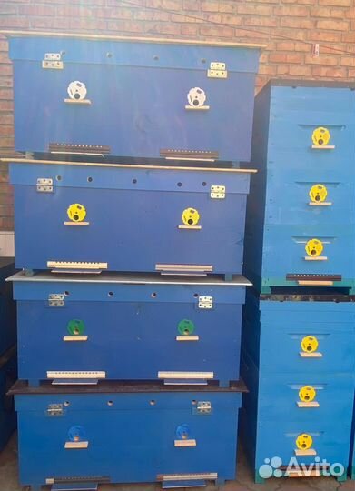 Ульи для пчел