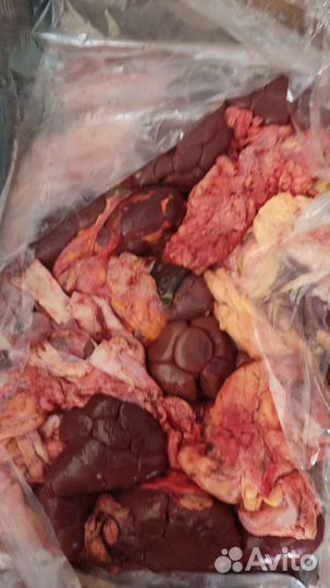 Корм для животных