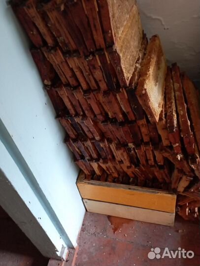 Полурамки суш