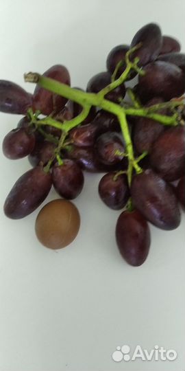 Черенки винограда