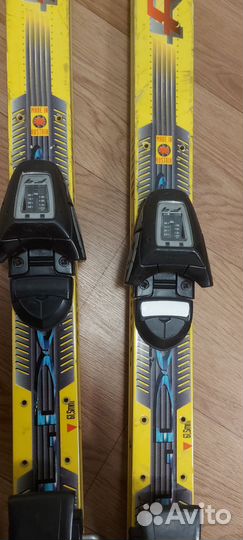 Горные лыжи