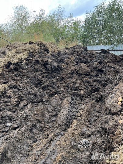 Продам навоз, перегной
