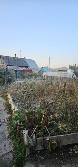 Дом 43,8 м² на участке 7,39 га