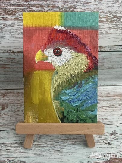 Попугай - миниатюра картина маслом