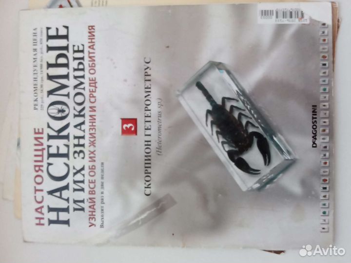 Насекомые и их знакомые