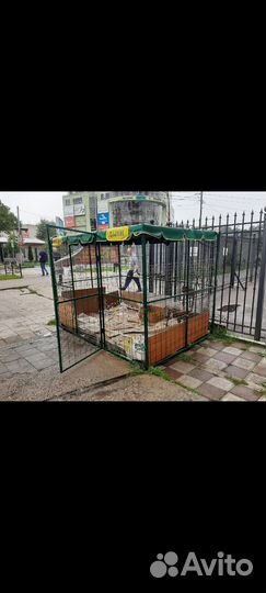 Арбузны Сетка