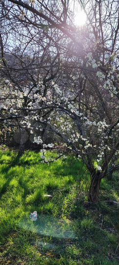 Участок 15 сот. (ИЖС)