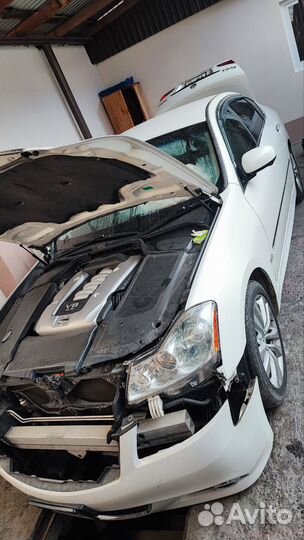 Nissan fuga разборка