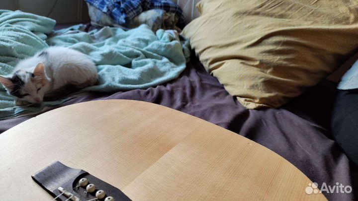 Акустическая гитара cort earth 50 op