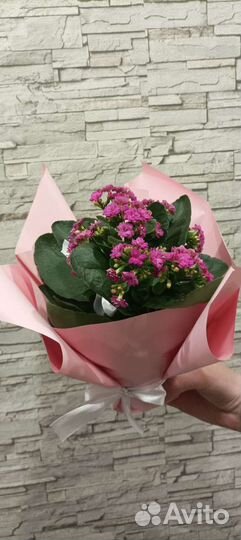 Цветы в горшках с оформлением на Ваш вкус