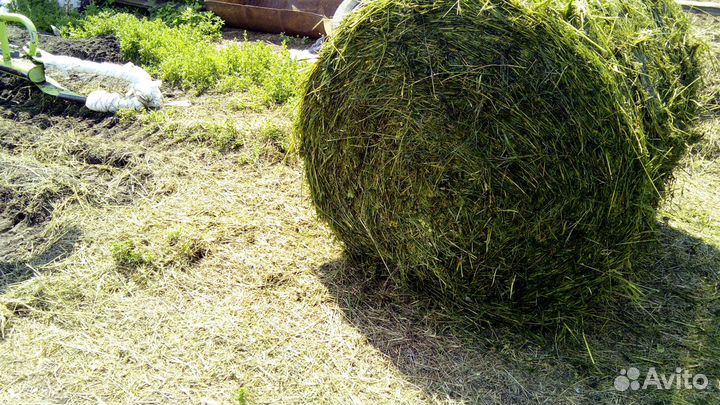 Сенаж, сено