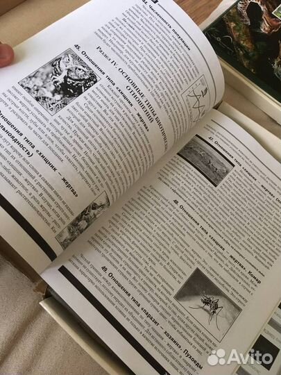 Энциклопедия пособие слайд альбом экология