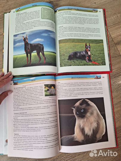 Книги энциклопедии о кошках и собаках