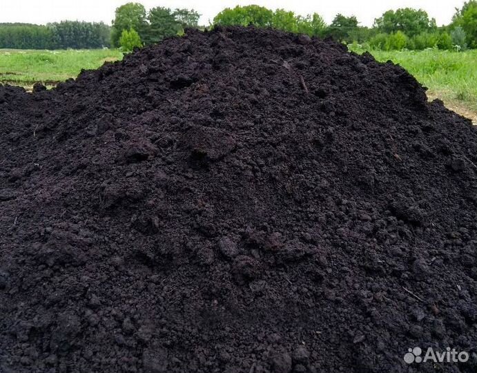 Земля чернозем