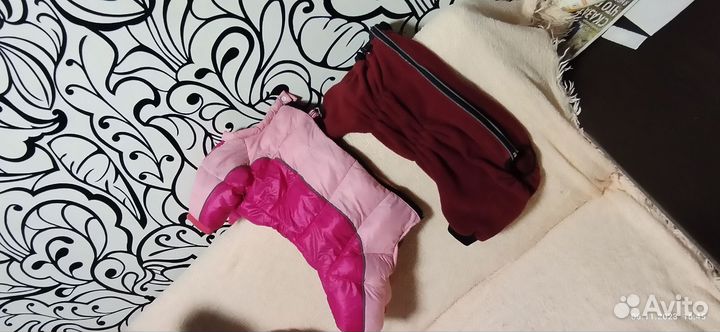 Одежда для собак средних пород