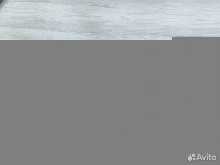 Ракушки морские