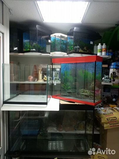 Ремонт аквариумов любой сложности