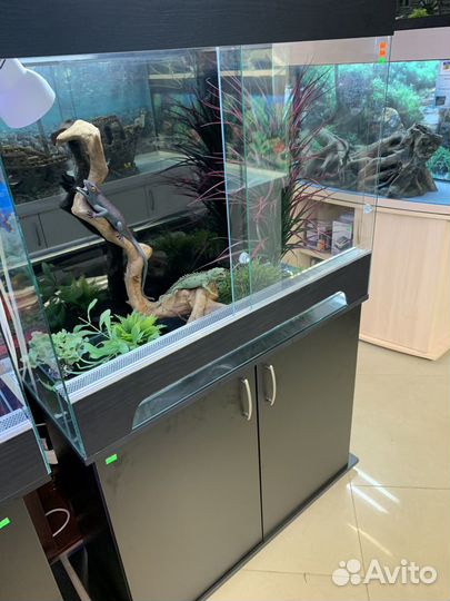 Террариум для игуаны, хамелеона, агамы, змей и т.д