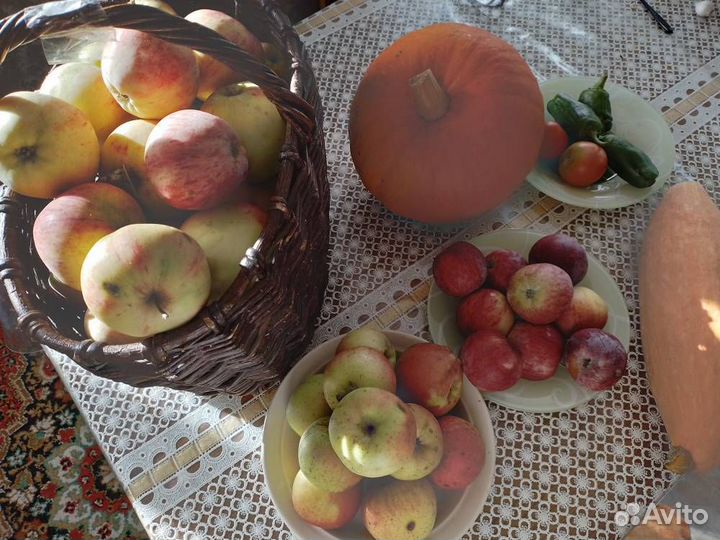 Яблоки и пр