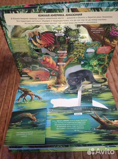 Энциклопедия с объемными элементами POP UP