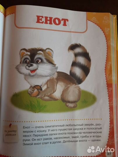 Развивающая книга 1-2 года