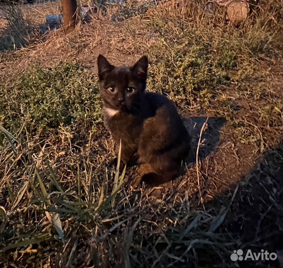 Малышка ищет семью