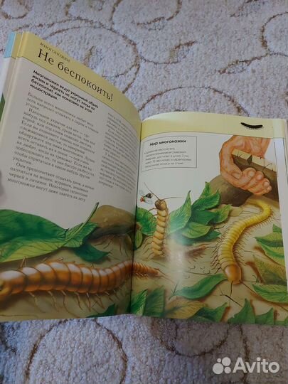 Большая детская энциклопедия