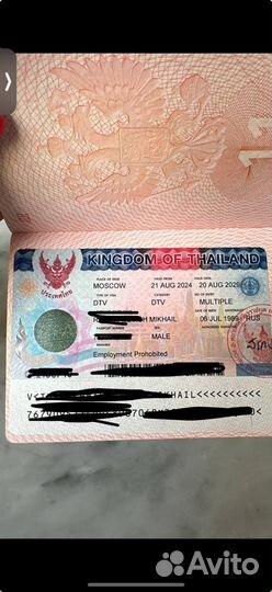 Виза в Тайланд (пенсионная, TR, DTV, ED, NON-B)