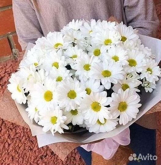 Хризантема. Букеты Цветы доставка