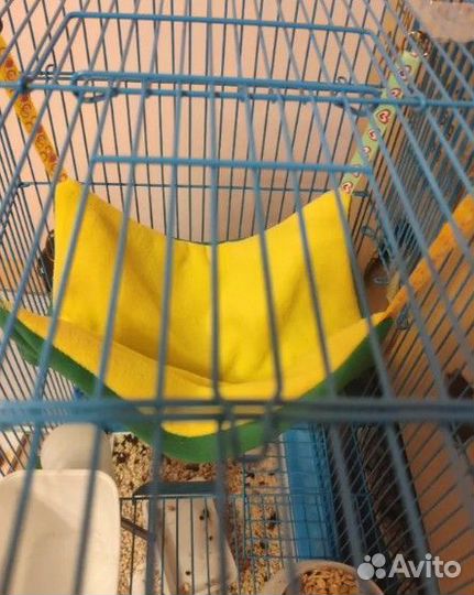 Гамак, лежанка, домики для грызунов