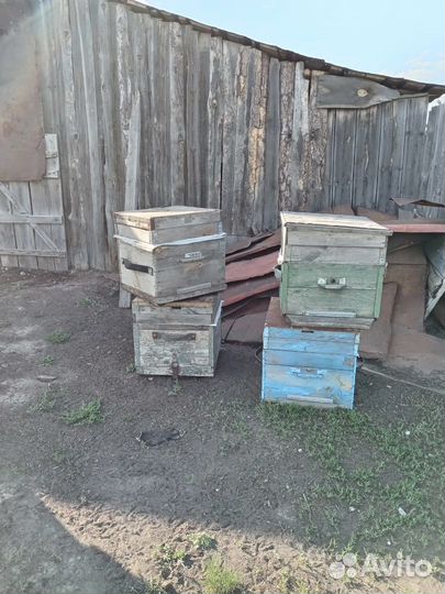 Продам ульи для пчел