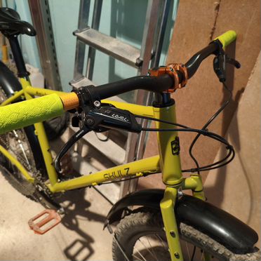 Shulz Mom's Favorite