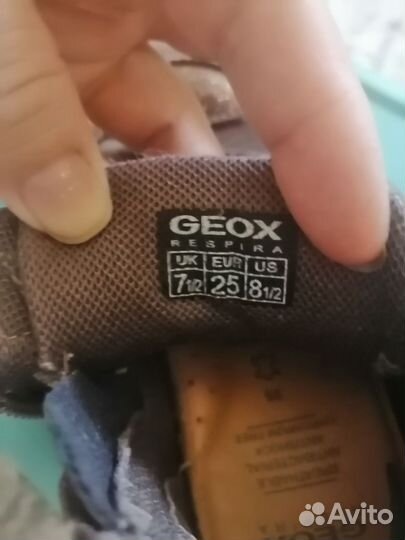 Кеды для девочки geox р. 25